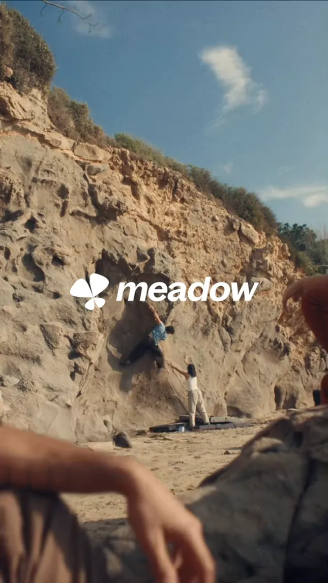 Meadow - Launch Video