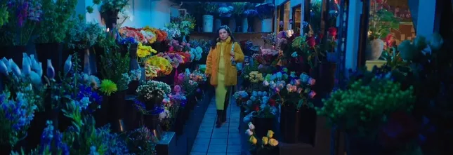 Efflorescence (short film)