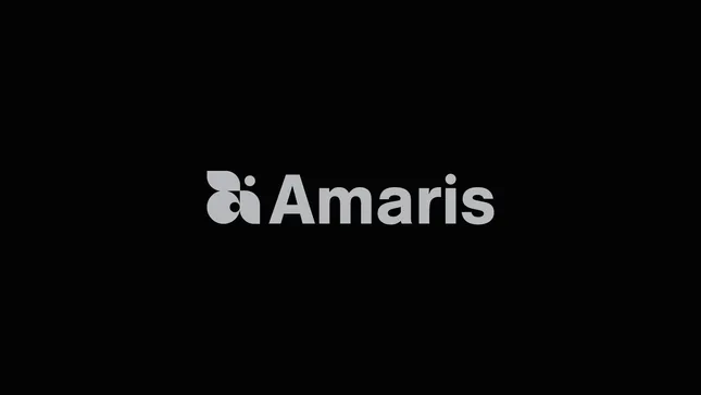 Amaris Consulting