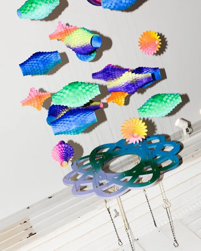 Project image