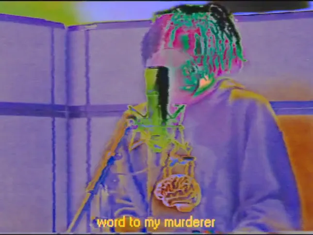 “What Do u Do?” - Wolfacejoeyy