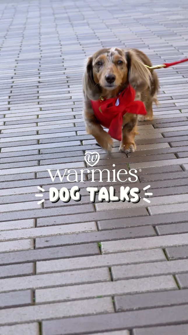 Warmies for Pets Social Content