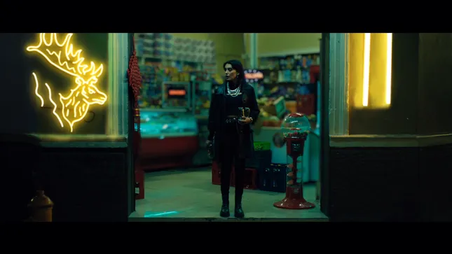 Cerveza Patagonia - Black Lager