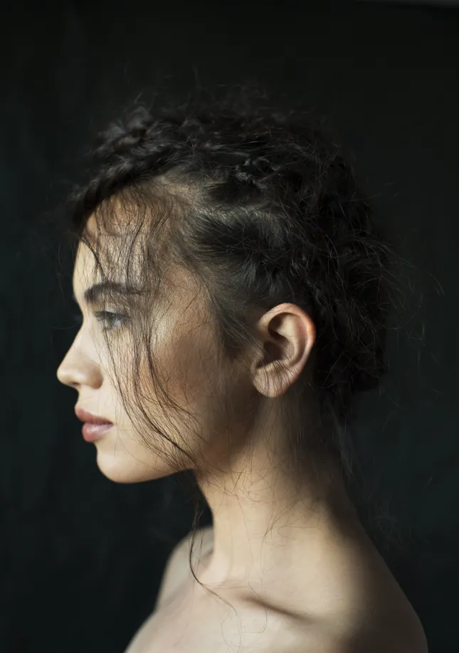 Braided up style