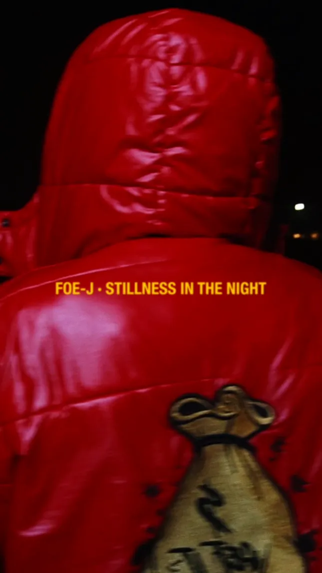 Foe-J - Stillness In The Night