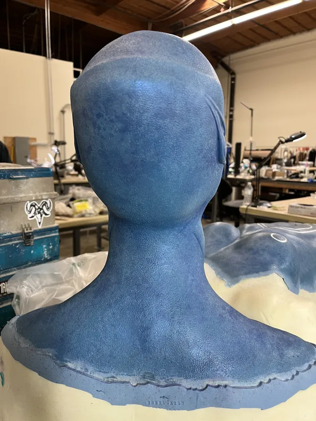 Project image