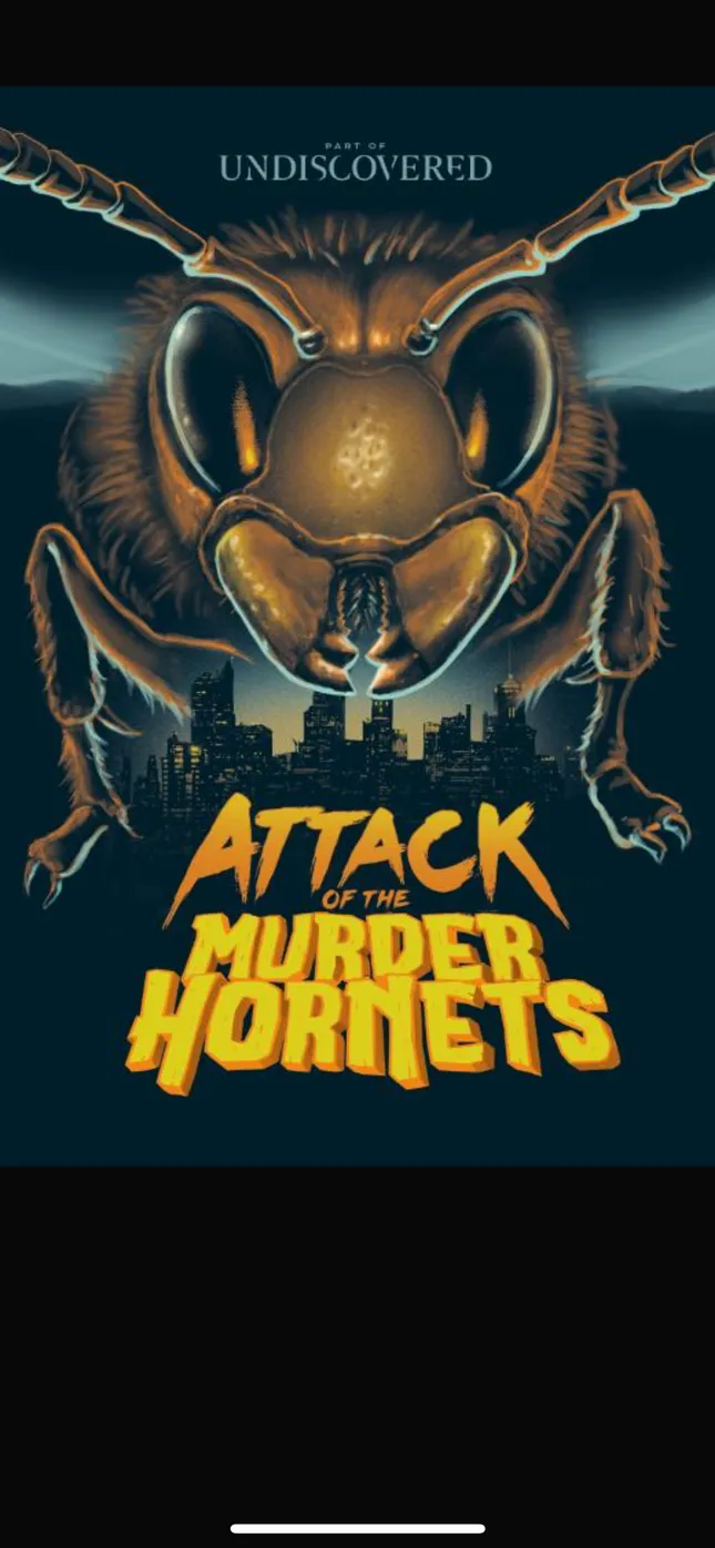 Attack of the Murder Hornets