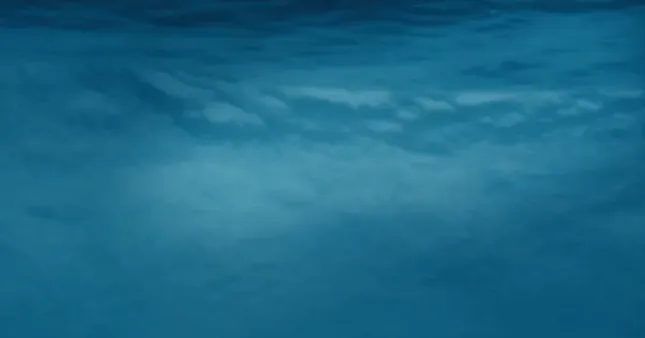 Of the Sea (2019)