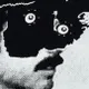 JV  Avatar