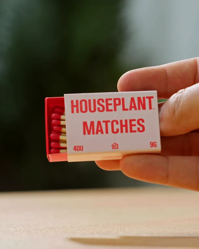 Houseplant Social Content