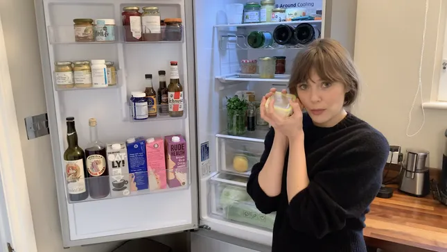 Fridge Tours
