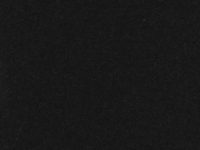 Hollis Howard - Crickets (Music Video)