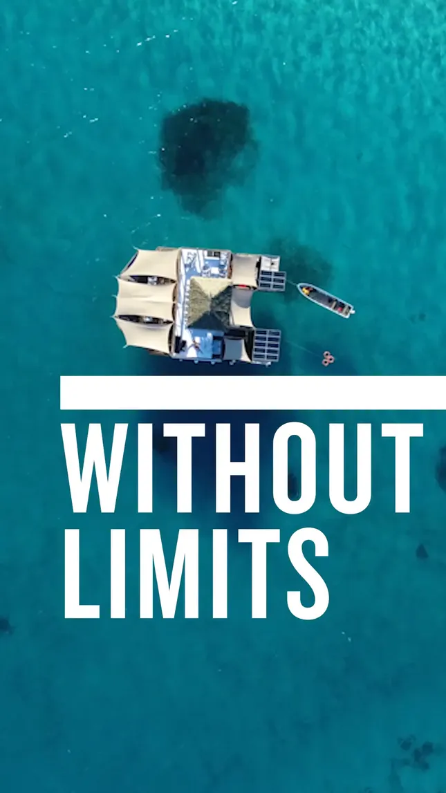 Without Limits