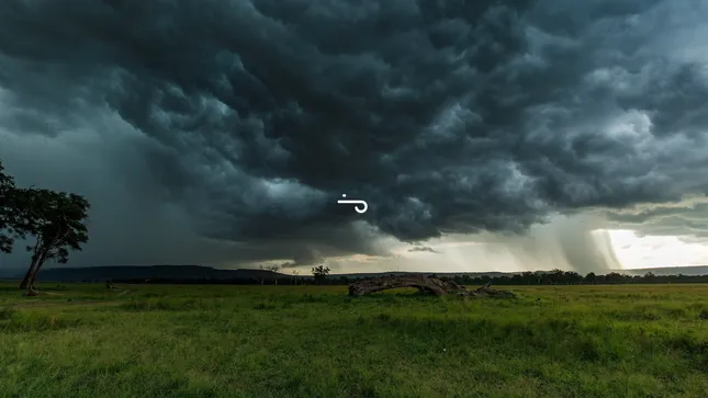 The Weather Channel:  Jacky Hunt-Broersma Story