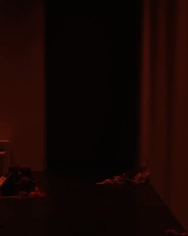 Wackie Ju AAFW 2023 Runway