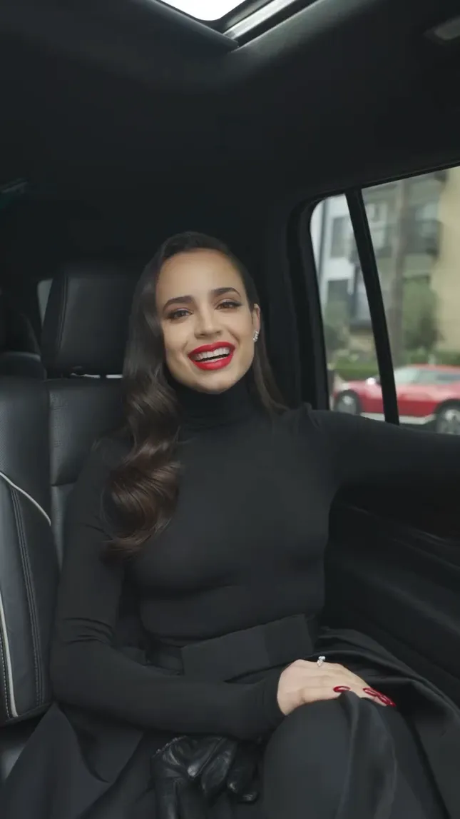 NETFLIX: CARRY-ON CAMPAIGN