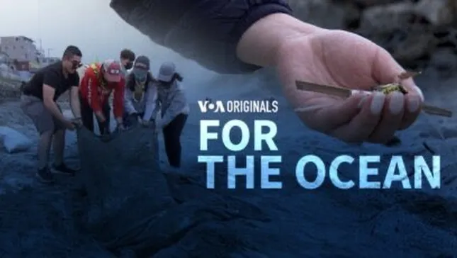 VOA- For The Oceans