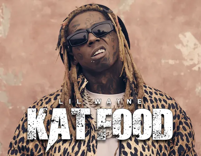 Lil Wayne - Kat Food (Official Lyric Video)