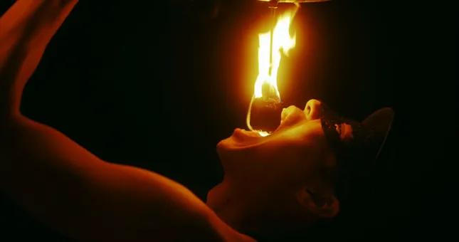 The Land Must Feed (Sample)