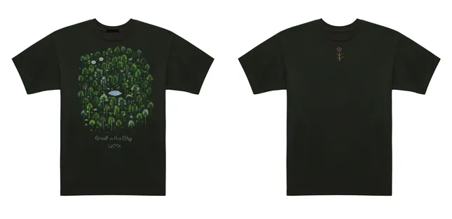 Project image