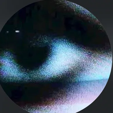 SD  Avatar