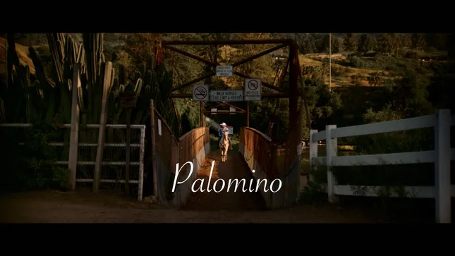 “Palomino”