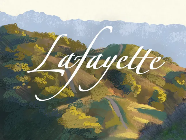 Procreate Digital Illustration (2021)