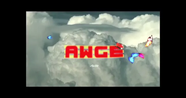 AWGE DVD: Volume I