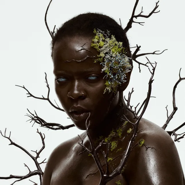 Rotten Album Cover - Piwa