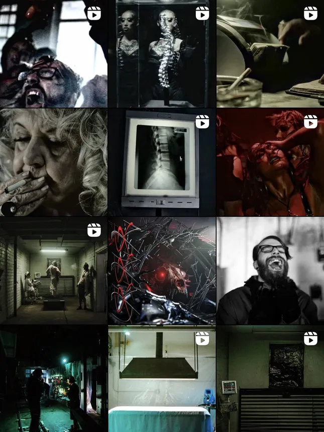 Social Media Management : Sly Shibari Artist Rollout