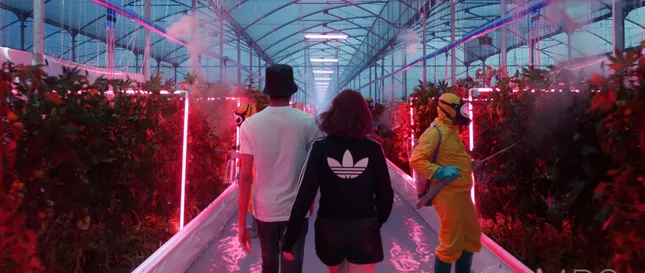 ADIDAS: Your Future is Not Mine
