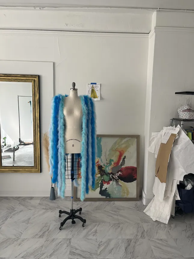 Project image