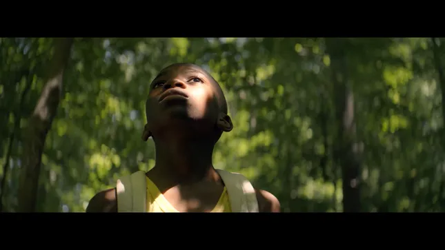 2025 Narrative Reel