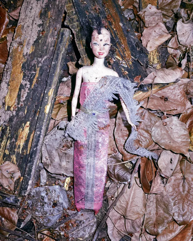 Project image