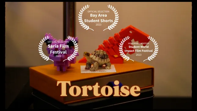 Tortoise | A Student Short