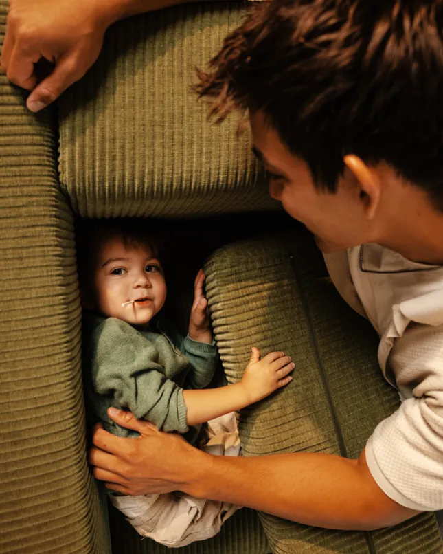 Lifestyle For New Apology