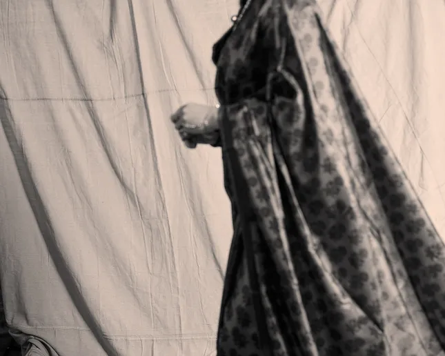 Vaishnvi Sari Portraits