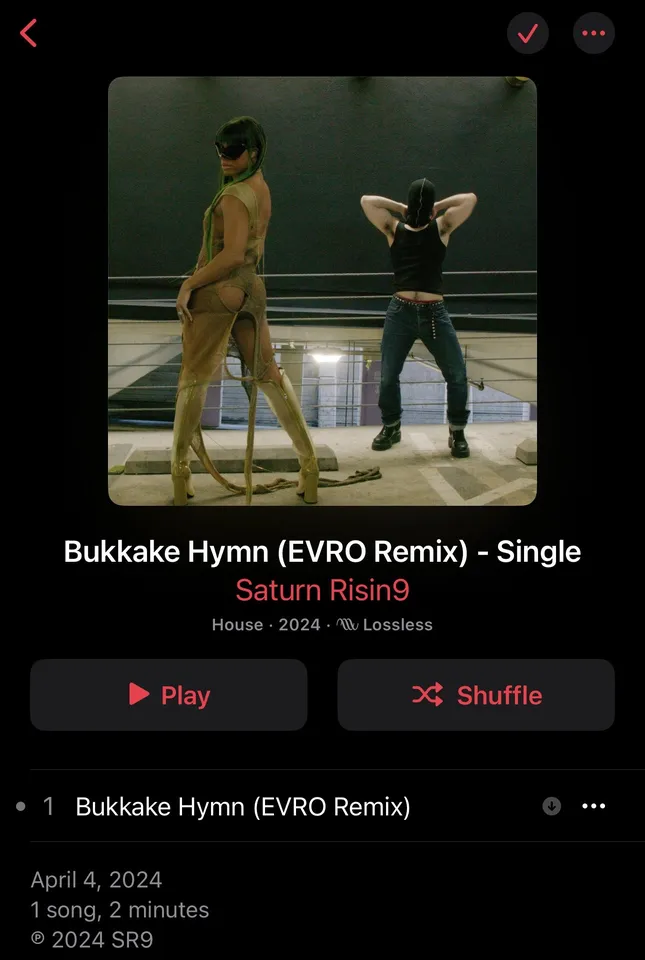 Saturn Risin9 Single Cover
