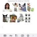 EK  Avatar