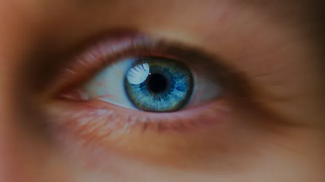 ZEISS