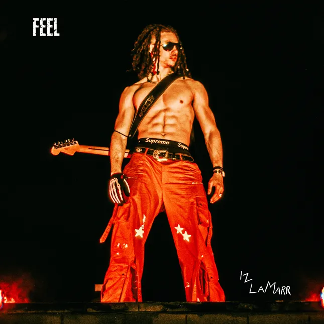Iz Lamarr - Feel (Album Cover)