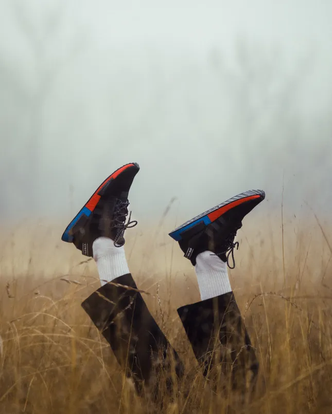 Adidas NMD v2