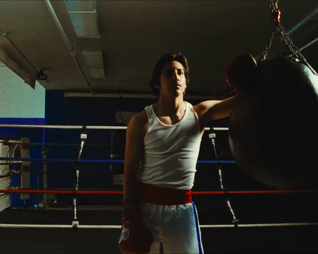 Standing Eight | School Of Boxing