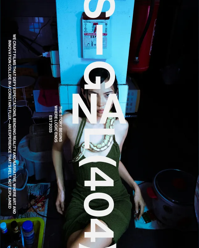 Signal 404 Visual Identity