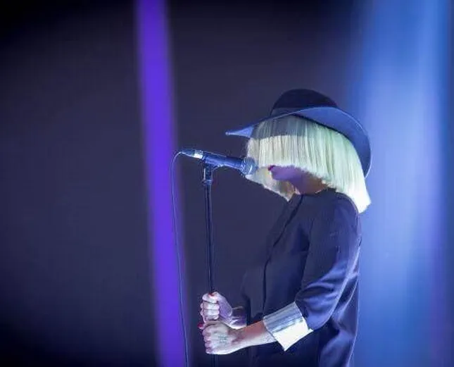 Wig creation for Sia