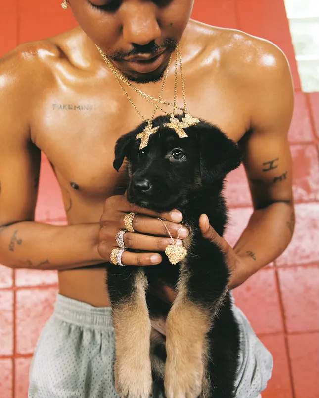 Veneda Carter Jewelry Campaign