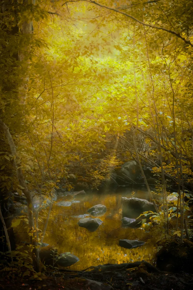 Landscapes