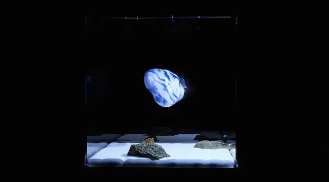 Thuy: 3D Concert visuals