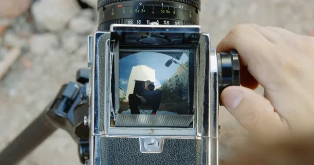 Faces & Laces | ziq & yoni