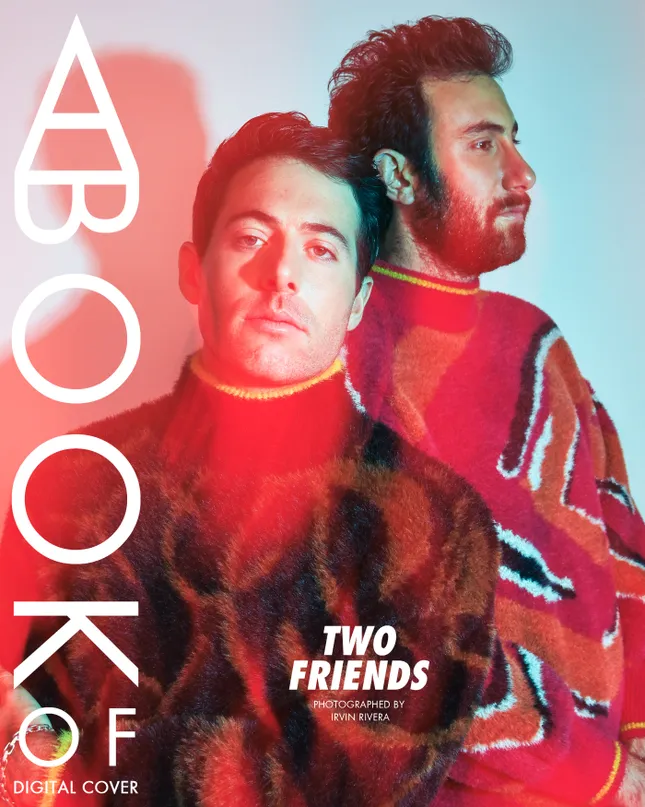 Two Friends - A Book Of